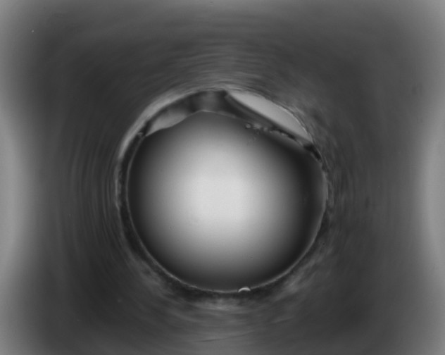 X0000086300244200704201948