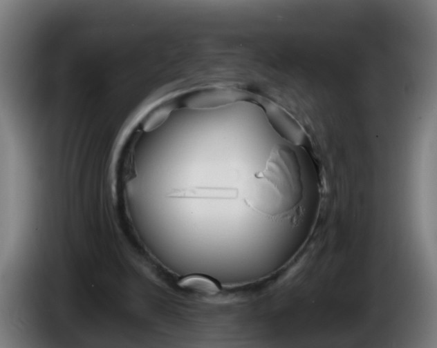 X0000086300246200704201948