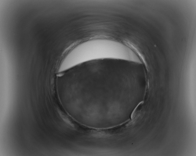 X0000086300249200704201948