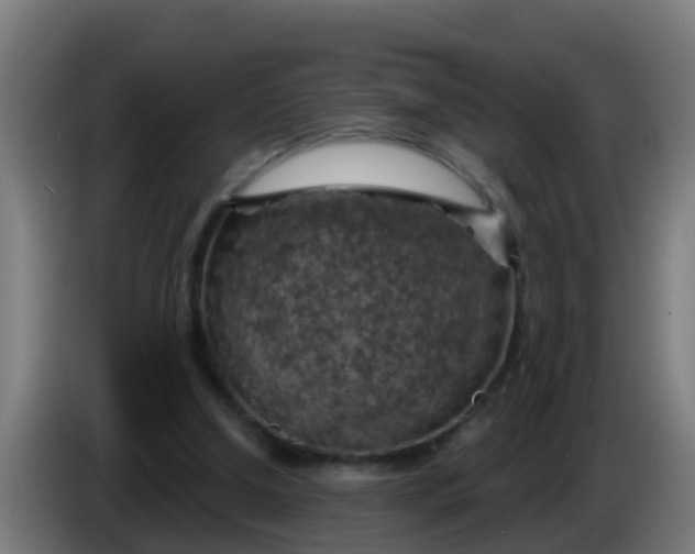 X0000086300250200704201948