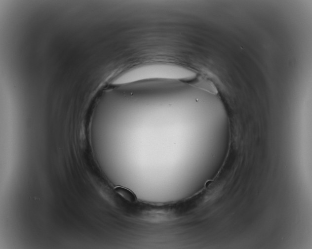 X0000086300251200704201948