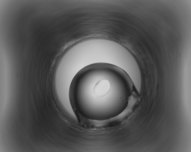 X0000086300252200704201948