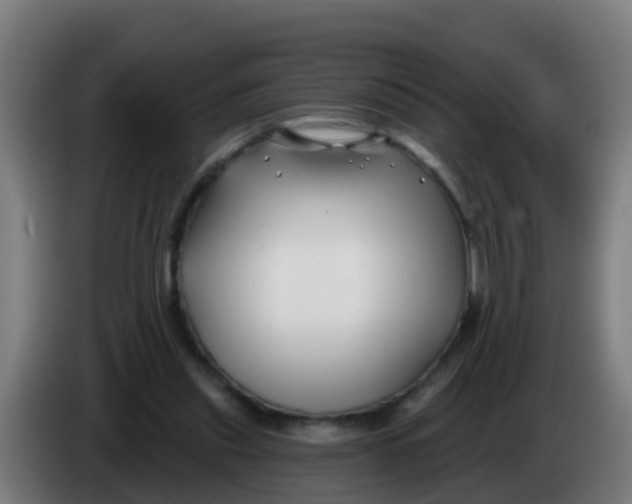 X0000086300253200704201948