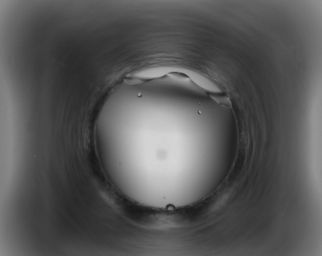 X0000086300255200704201948