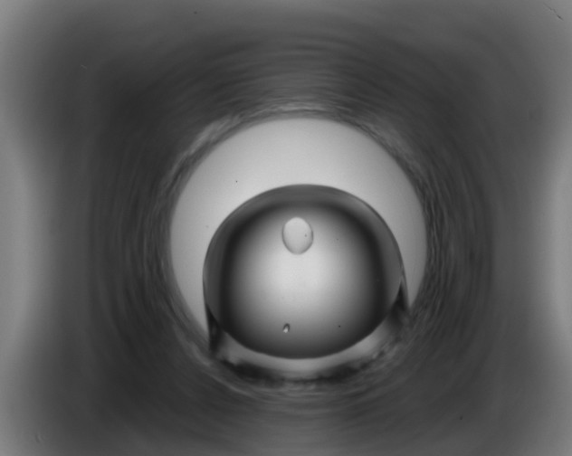 X0000086300256200704201948