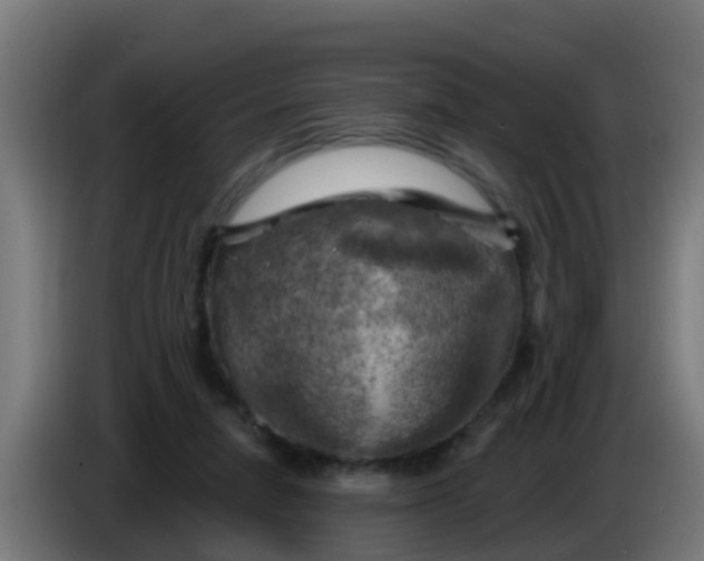 X0000086300258200704201948