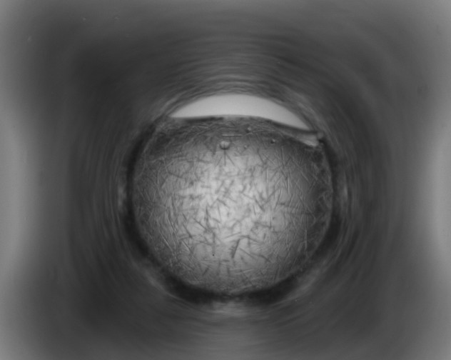 X0000086300259200704201948