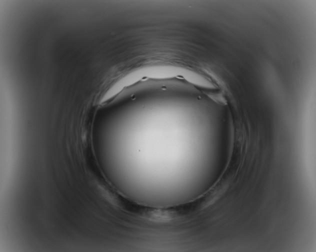 X0000086300261200704201948