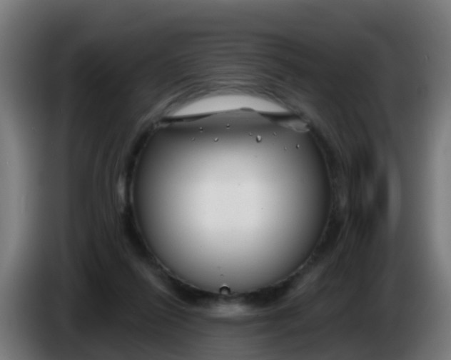 X0000086300262200704201948