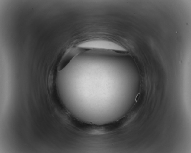 X0000086300263200704201948