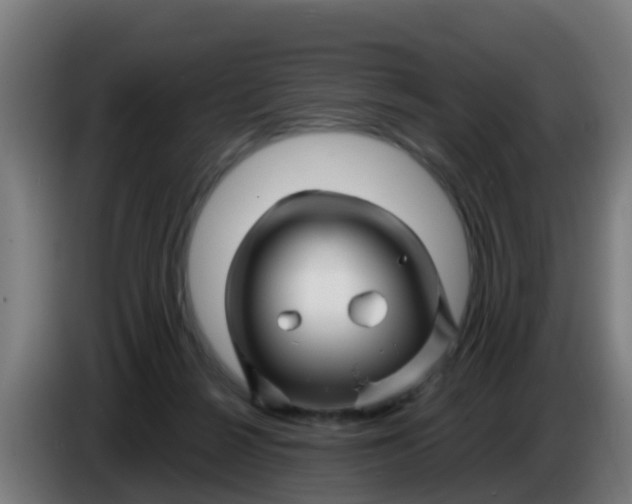 X0000086300264200704201948