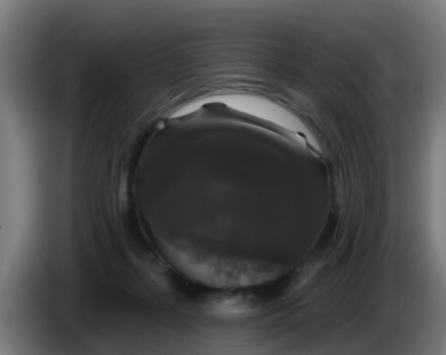 X0000086300267200704201948