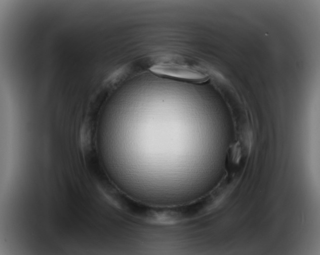 X0000086300268200704201948