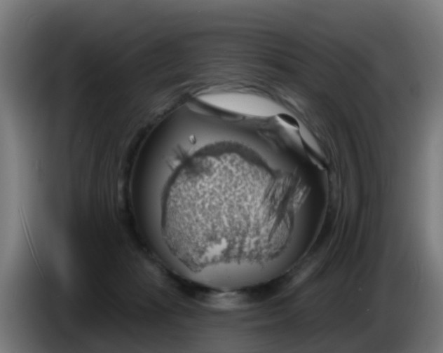 X0000086300269200704201948