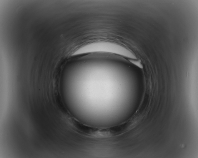 X0000086300270200704201948