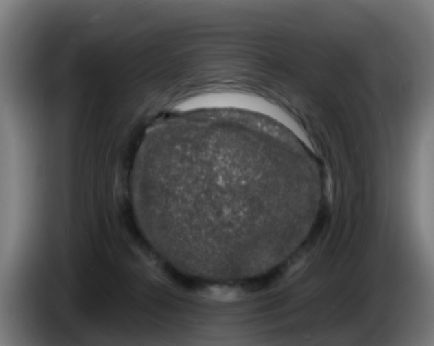 X0000086300272200704201948