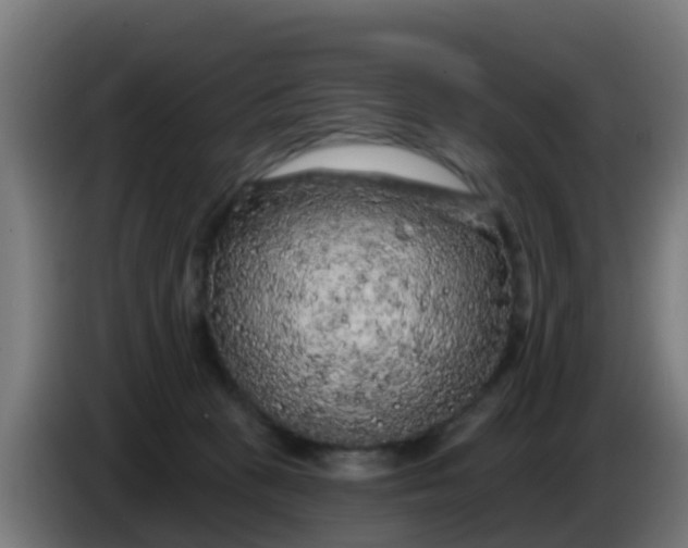 X0000086300273200704201948