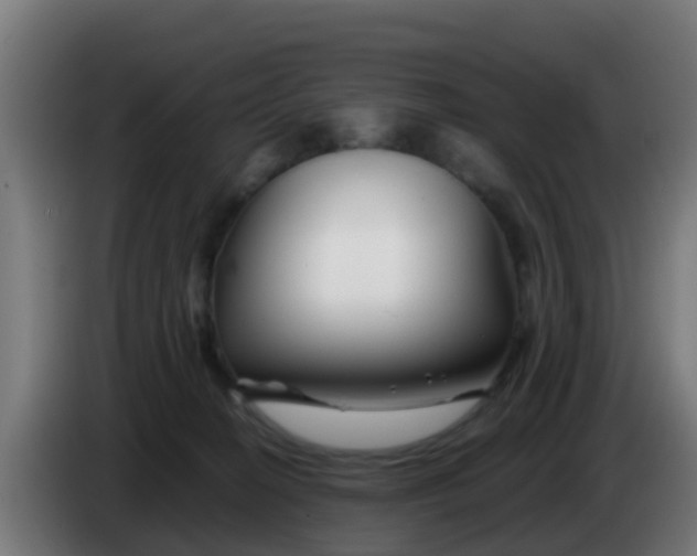 X0000086300274200704201948