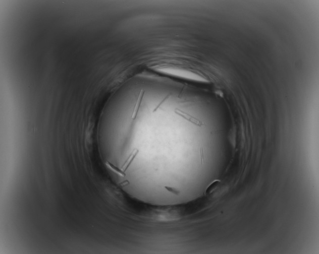 X0000086300275200704201948