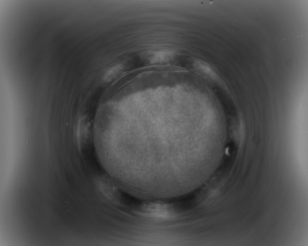 X0000086300276200704201948