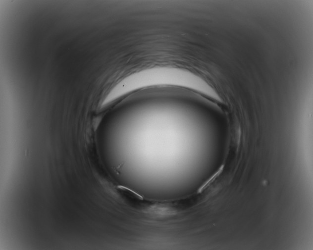 X0000086300280200704201948