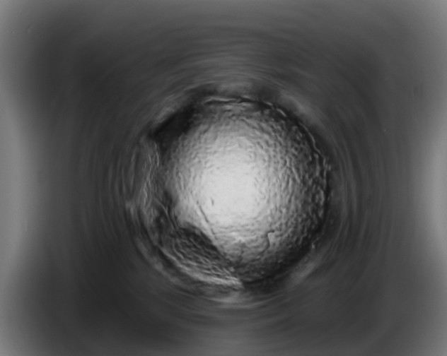 X0000086300281200704201948