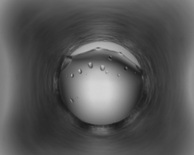 X0000086300282200704201948