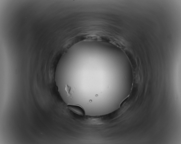 X0000086300283200704201948