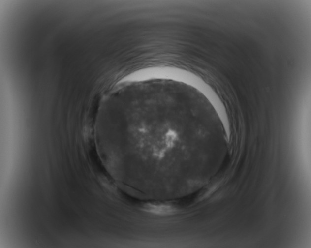 X0000086300284200704201948