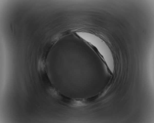 X0000086300285200704201948