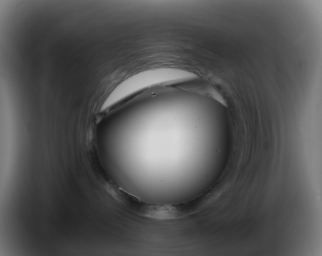 X0000086300288200704201948