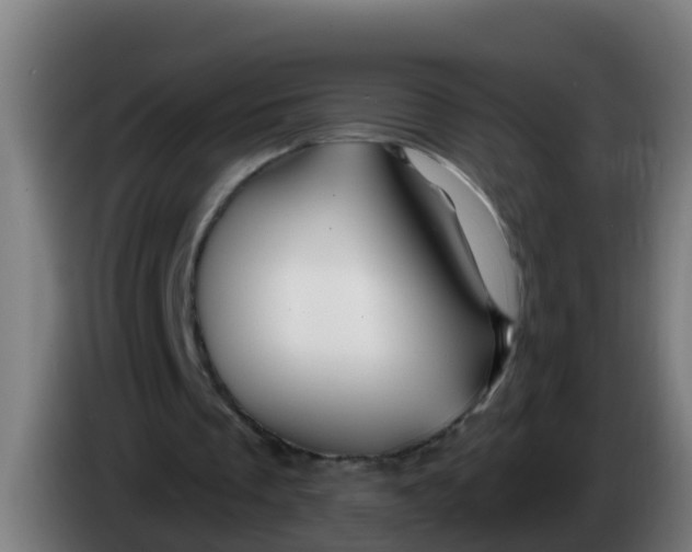 X0000086300289200704201948