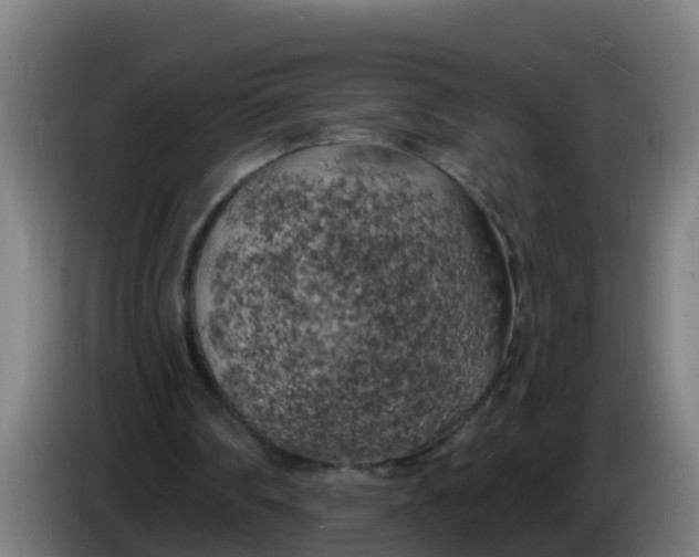 X0000086300290200704201948