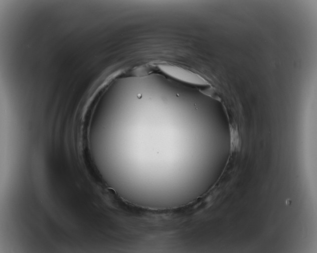 X0000086300291200704201948