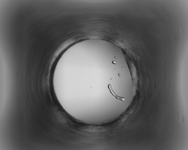 X0000086300292200704201948