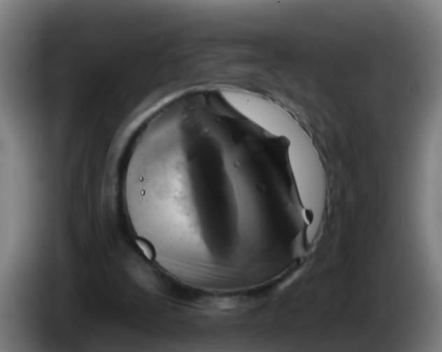 X0000086300295200704201948