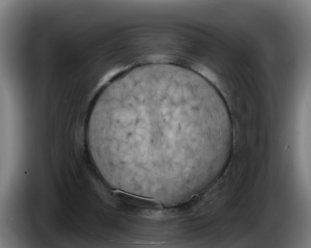 X0000086300297200704201948