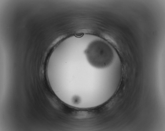 X0000086300298200704201948