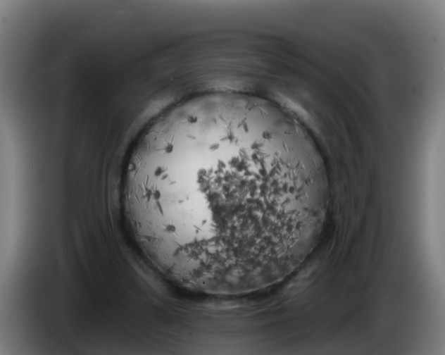 X0000086300299200704201948