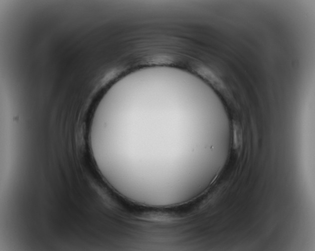 X0000086300300200704201948