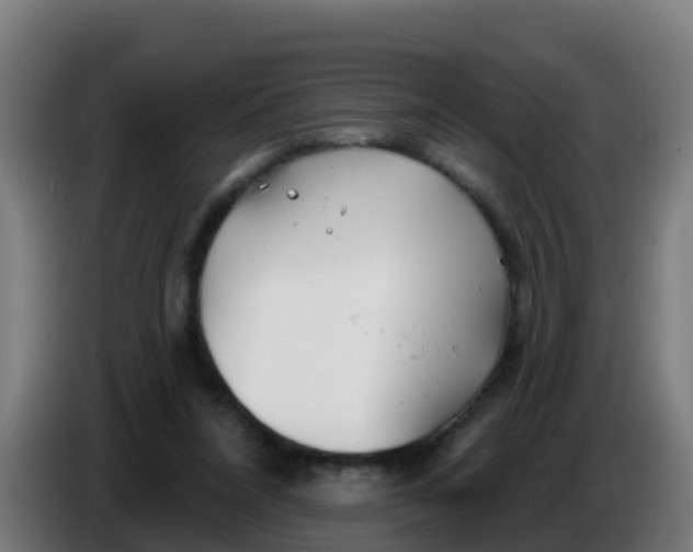 X0000086300304200704201948