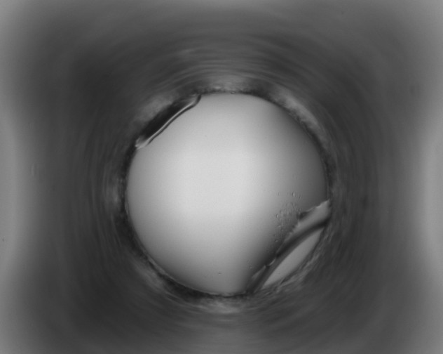 X0000086300305200704201947