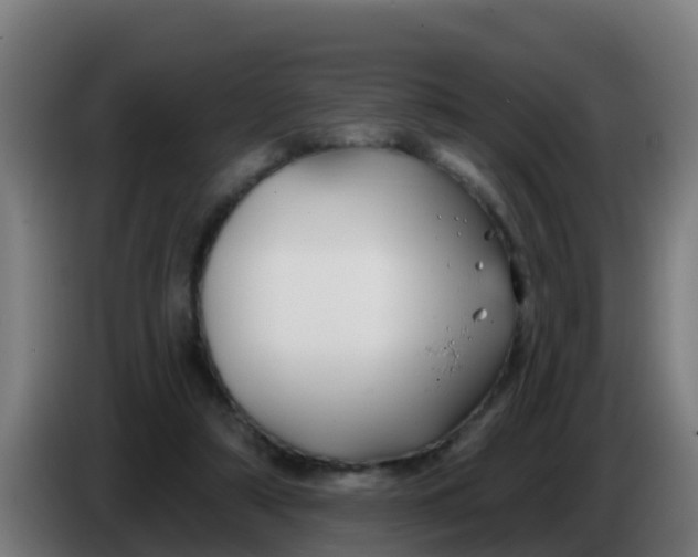 X0000086300306200704201947