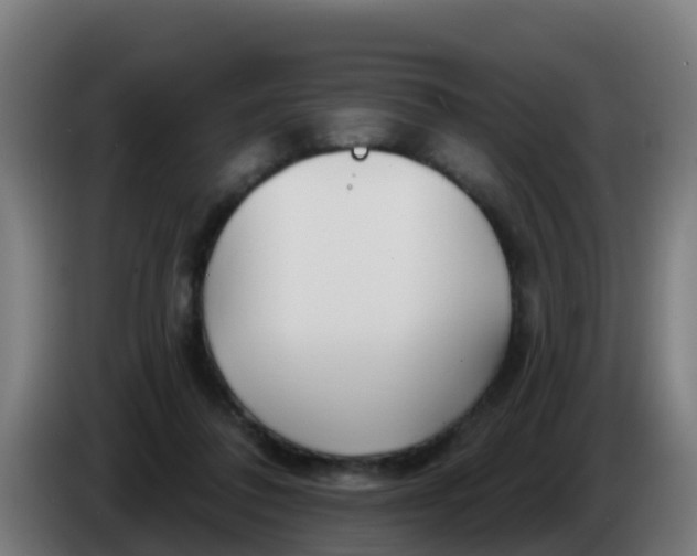 X0000086300308200704201947