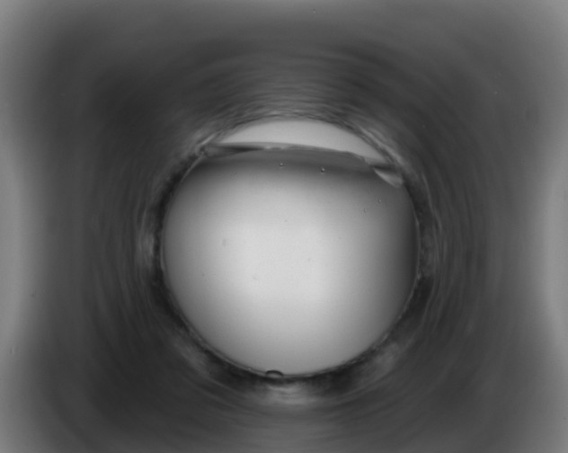 X0000086300309200704201947