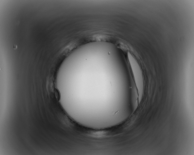 X0000086300313200704201947