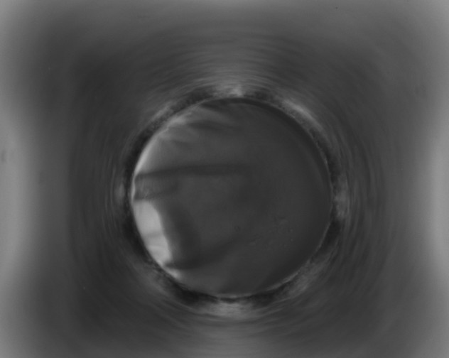 X0000086300314200704201947