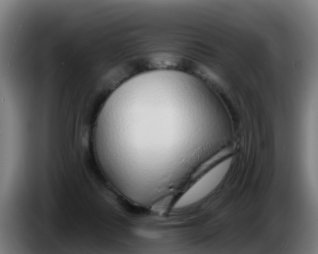 X0000086300315200704201947