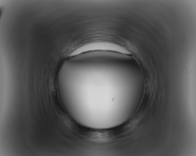 X0000086300317200704201947