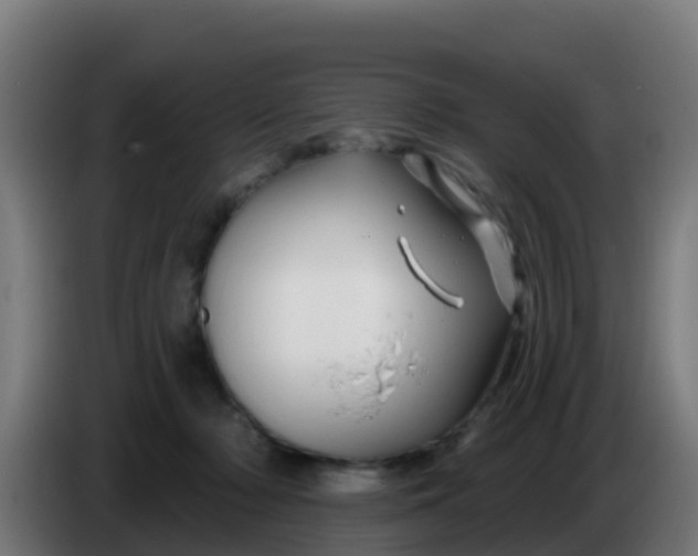 X0000086300318200704201947